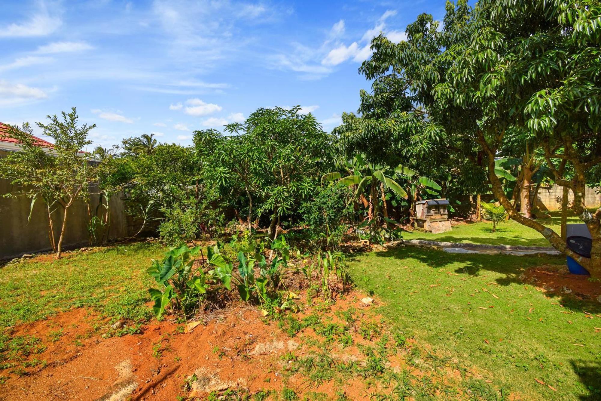 Harriott Heights Daire Mandeville Dış mekan fotoğraf