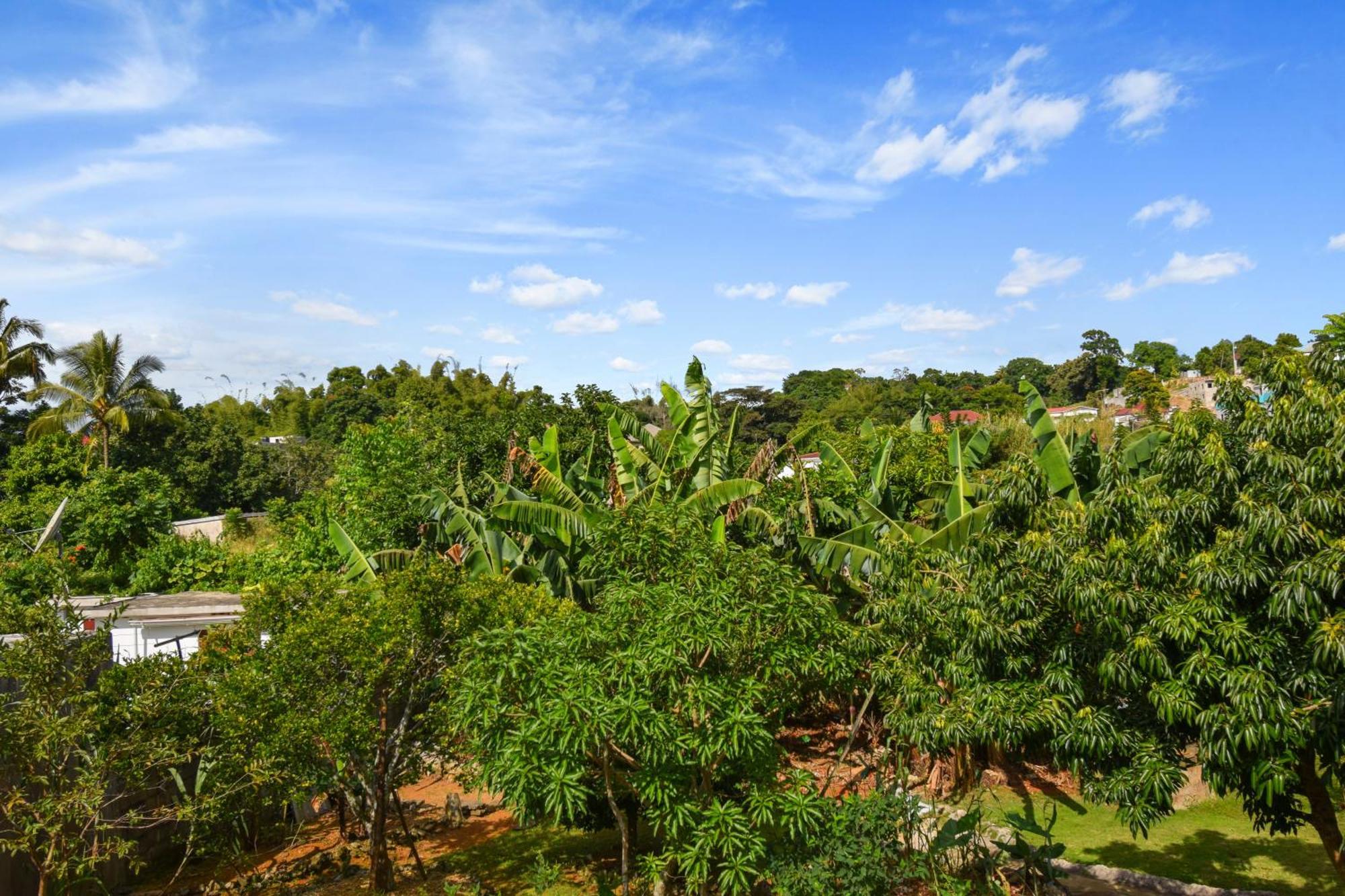 Harriott Heights Daire Mandeville Dış mekan fotoğraf
