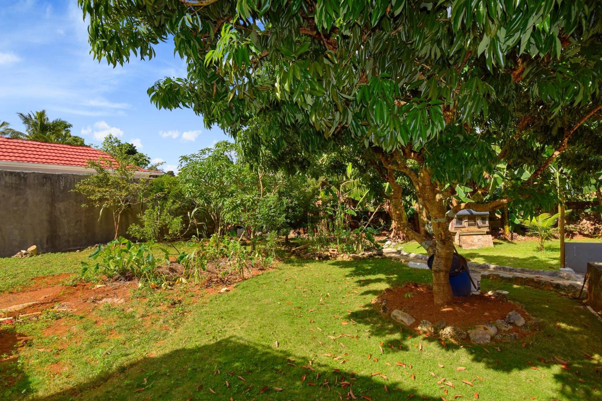 Harriott Heights Daire Mandeville Dış mekan fotoğraf